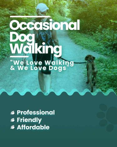 Searching-Best-Dog-Walking-Services-Near-You-in-Delhi